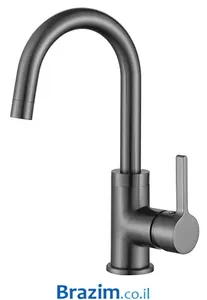 ברז פרח לאמבט ולנסיה ורד 80717 אפור מטאלי