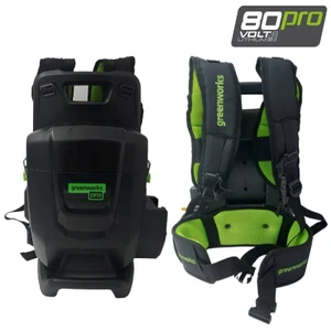 יחידת כוח נישאת 80V PRO Dual Port+ כבל ומתאם סוללת דמה Dual Port *גוף בלבד * אביזר מפוח מתנה * דגם 2946802 גרין וורקס