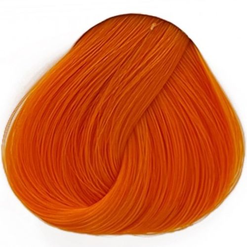 Apricot La Riche אפריקוט לה ריץ`