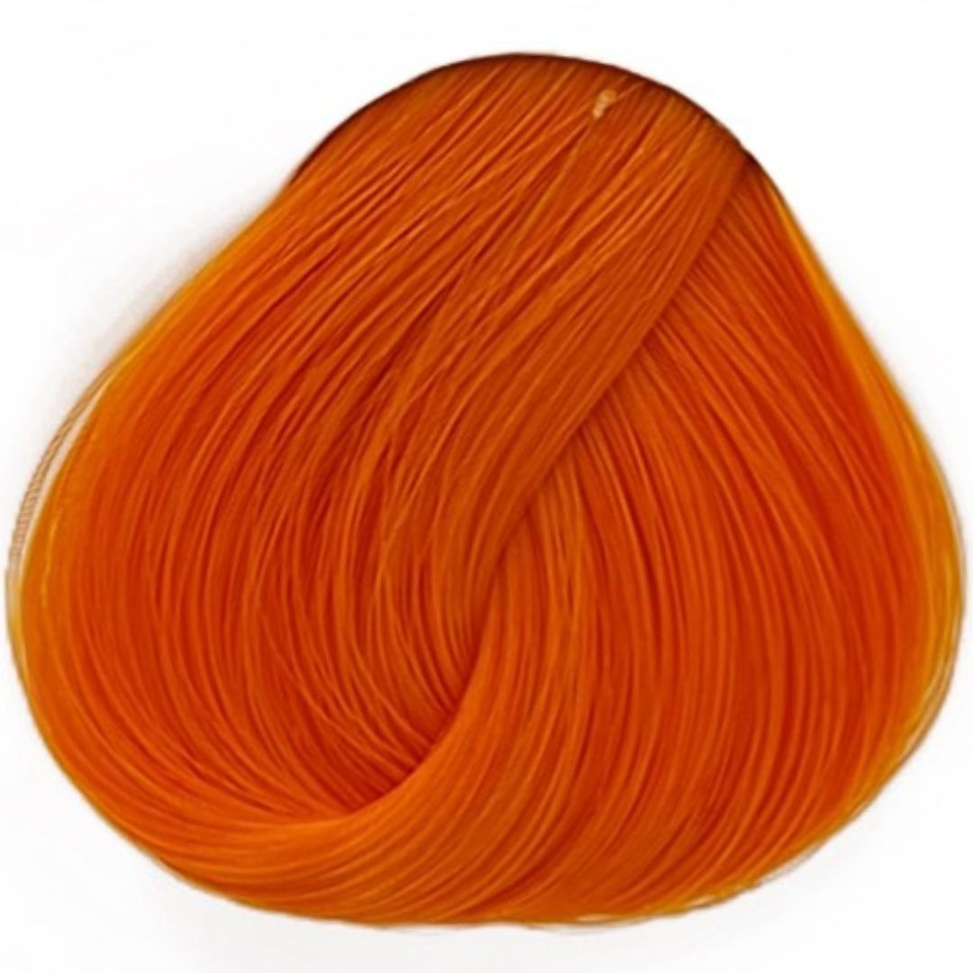 Apricot La Riche אפריקוט לה ריץ`
