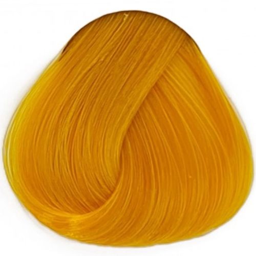 Sunflower La Riche חמניה לה ריץ`