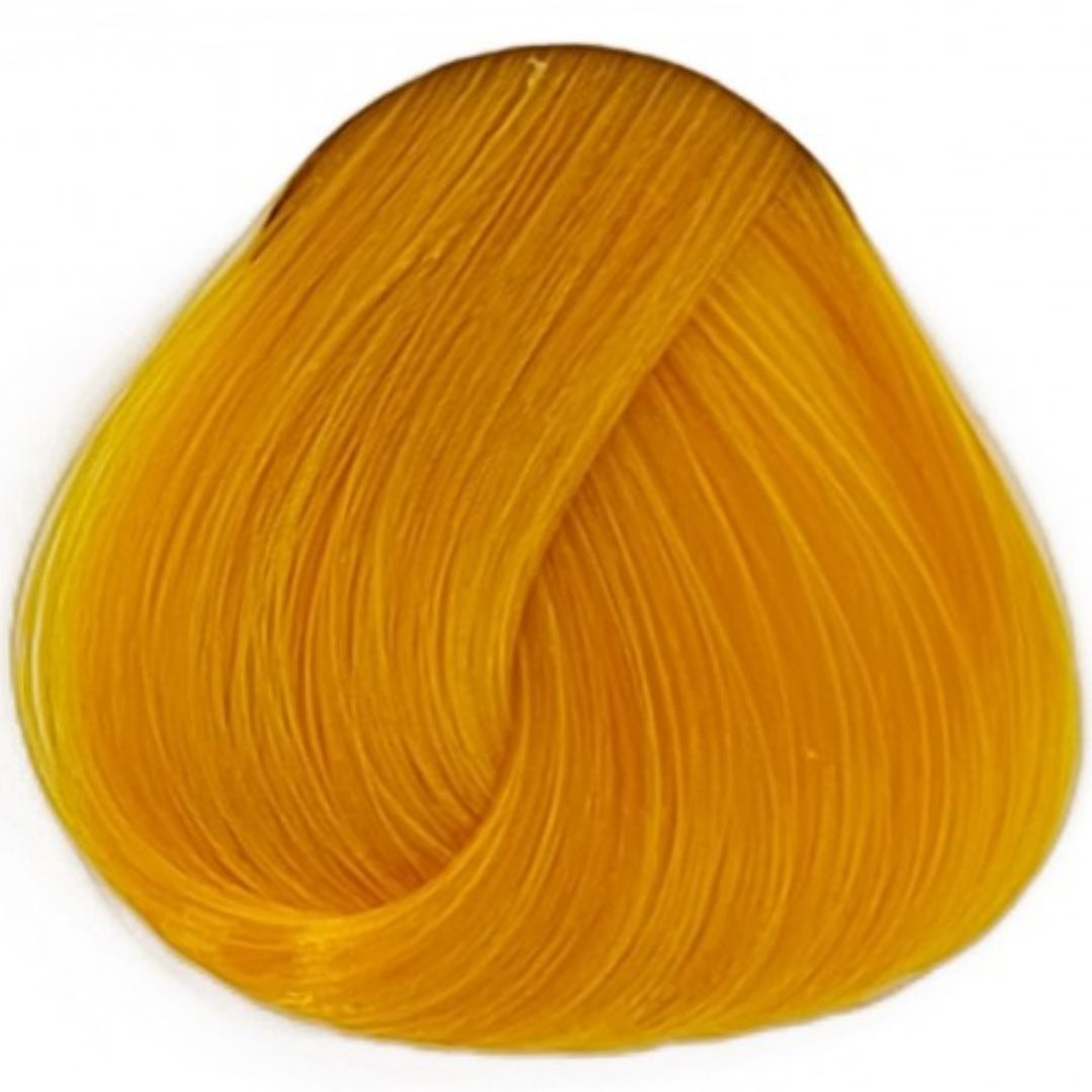 Sunflower La Riche חמניה לה ריץ`