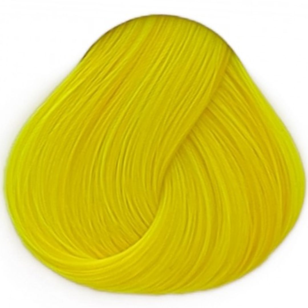 Bright Daffodil La Riche ברייט דפודיל לה ריץ`