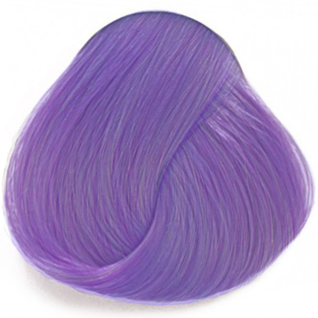 Wisteria La Riche ויסטריה לה ריץ`