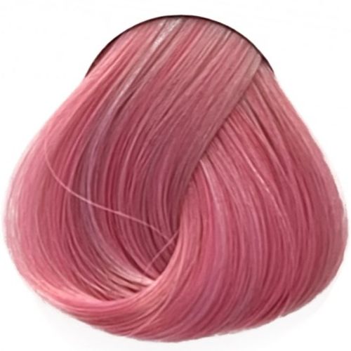 Pastel Rose La Riche פסטל רוז לה ריץ`