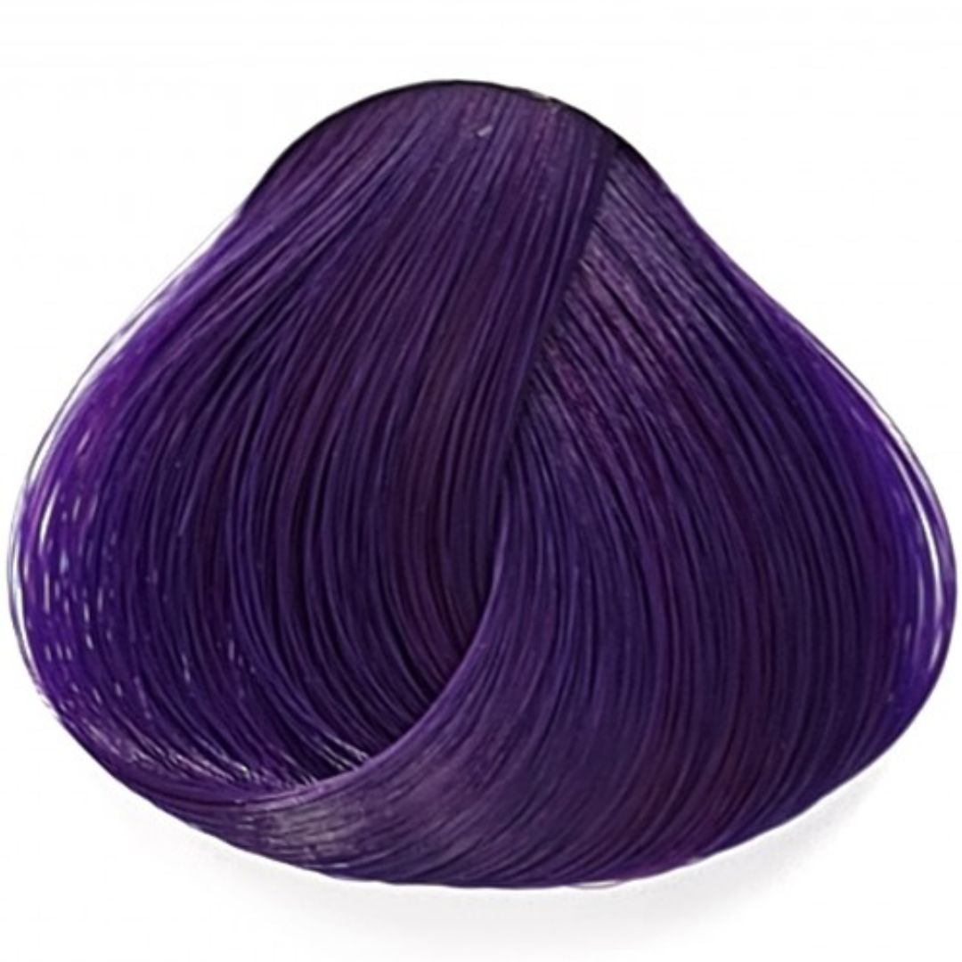 Deep Purple La Riche סגול עמוק לה ריץ`