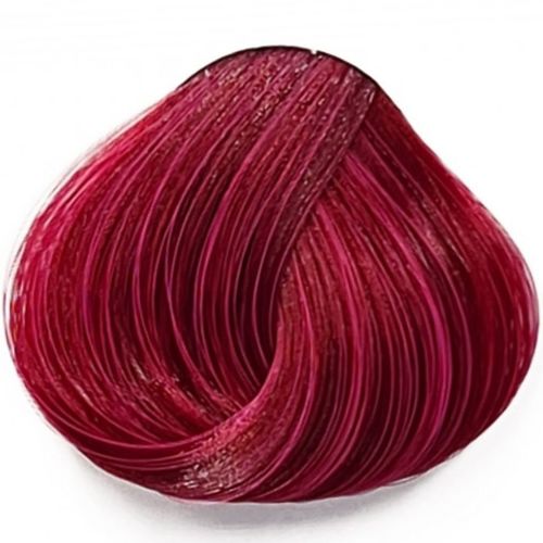 Tulip La Riche טוליפ לה ריץ`