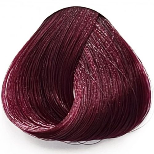 Dark Tulip La Riche דארק טוליפ לה ריץ`