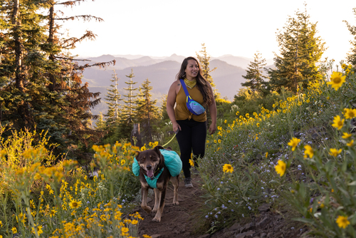 HOME TRAIL™ HIP PACK