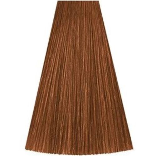 גוון 7/37 MEDIUM BLONDE GOLD BRUNETTE קאדוס KADUS צבע לשיער 60 גרם