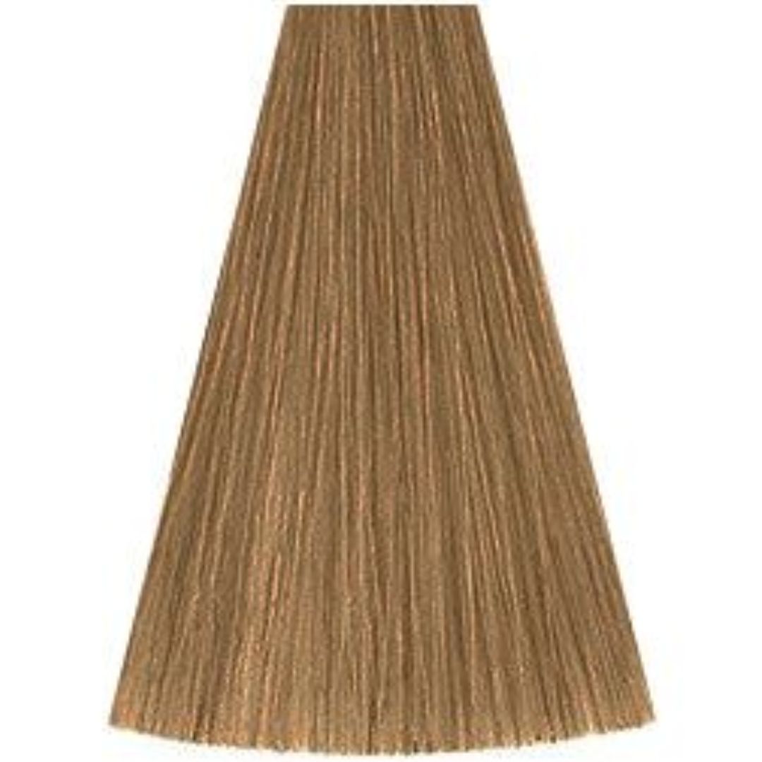 גוון 8/38 LIGHT BLONDE GOLD PEARL קאדוס KADUS צבע לשיער 60 גרם