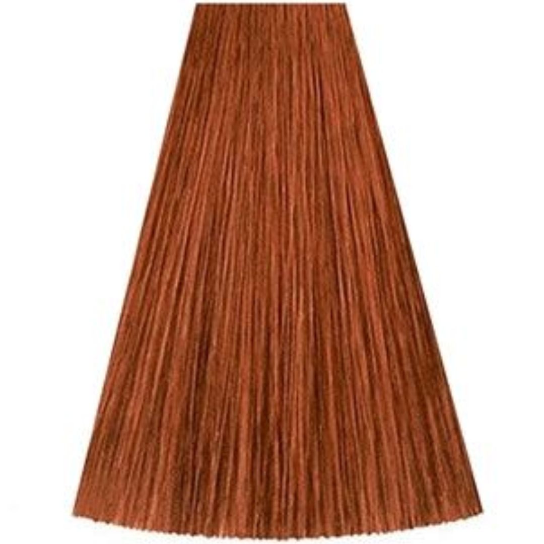 גוון 7/4 MEDIUM BLONDE RED קאדוס KADUS צבע לשיער 60 גרם