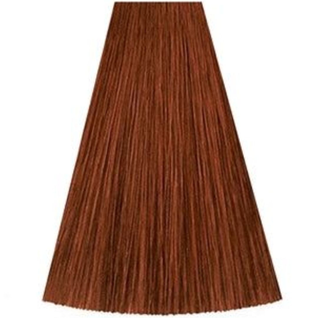 גוון 6/4 DARK BLONDE RED קאדוס KADUS צבע לשיער 60 גרם