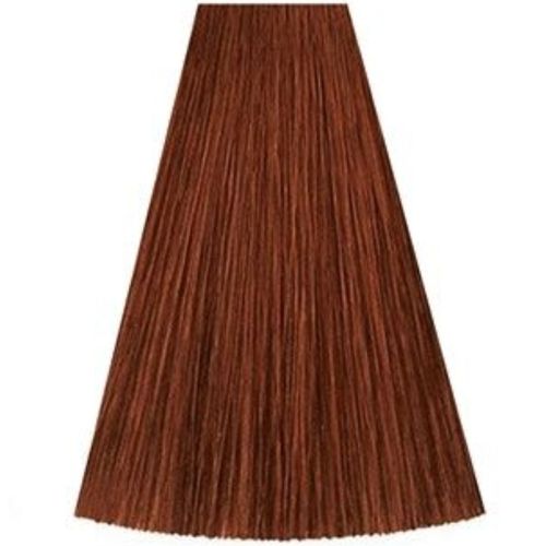 גוון 7/43 MEDIUM BLONDE RED GOLD קאדוס KADUS צבע לשיער 60 גרם