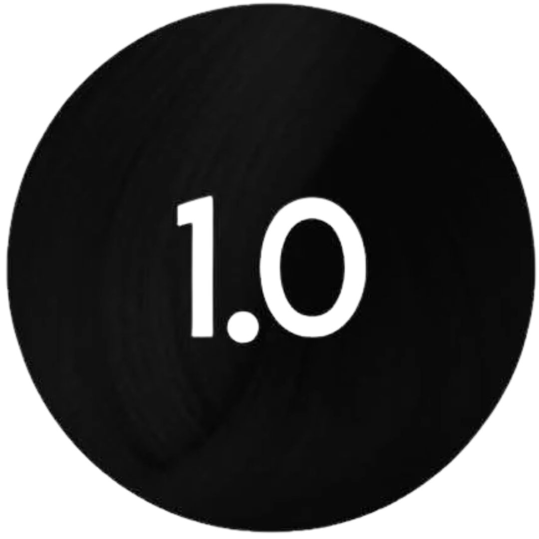 גוון בסיס BLACK 1.0 פארמויטה FarmaVita צבע לשיער 100 גרם