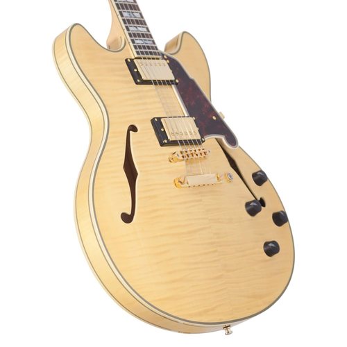 גיטרה רבע נפח D'Angelico EXCEL DC Natural