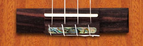 יוקללה קונצרט כולל נרתיק LEHO LHUC-ASM-CEL All Solid Mahogany