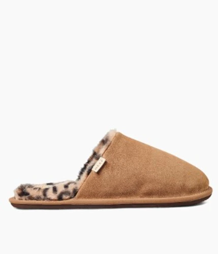 כפכפי ריף חורף Reef Cozy Slipper Leopard | גברים 
