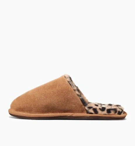 כפכפי ריף חורף Reef Cozy Slipper Leopard | גברים 