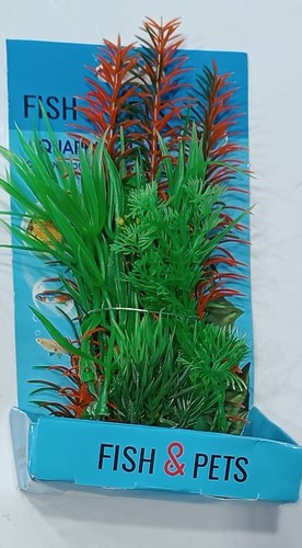 צמח 20 ס