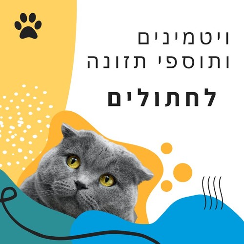 ויטמינים תוספי תזונה לחתולים