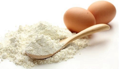 אבקת אלבומין 100 גר' Albumin powder