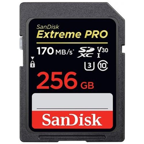  כרטיס זיכרון SanDisk Extreme Pro SDSDXXD-256G-GN4IN 256GB SD UHS-I סנדיסק