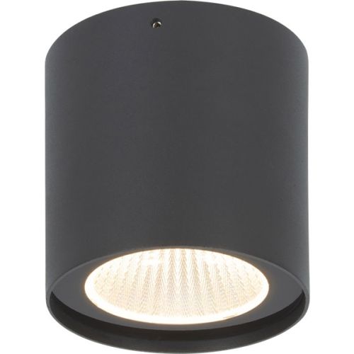 צמוד תקרה ROLL שיר 2000LM אפור 60° IP54 20W