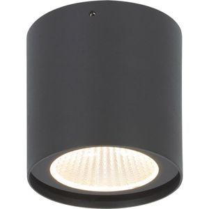 צמוד תקרה ROLL שיר 2000LM אפור 60° IP54 20W