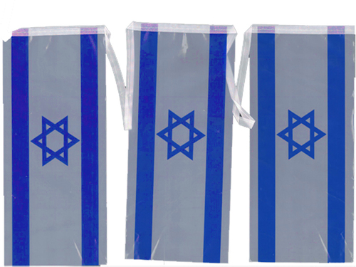 שרשרת 10 דגלי ישראל 4.5 מטר 12/25