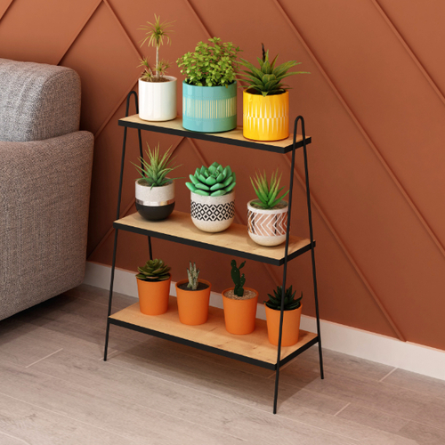 מעמד כניסה דגם ליאור