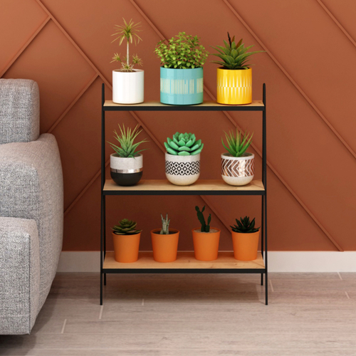 מעמד כניסה דגם ליאור