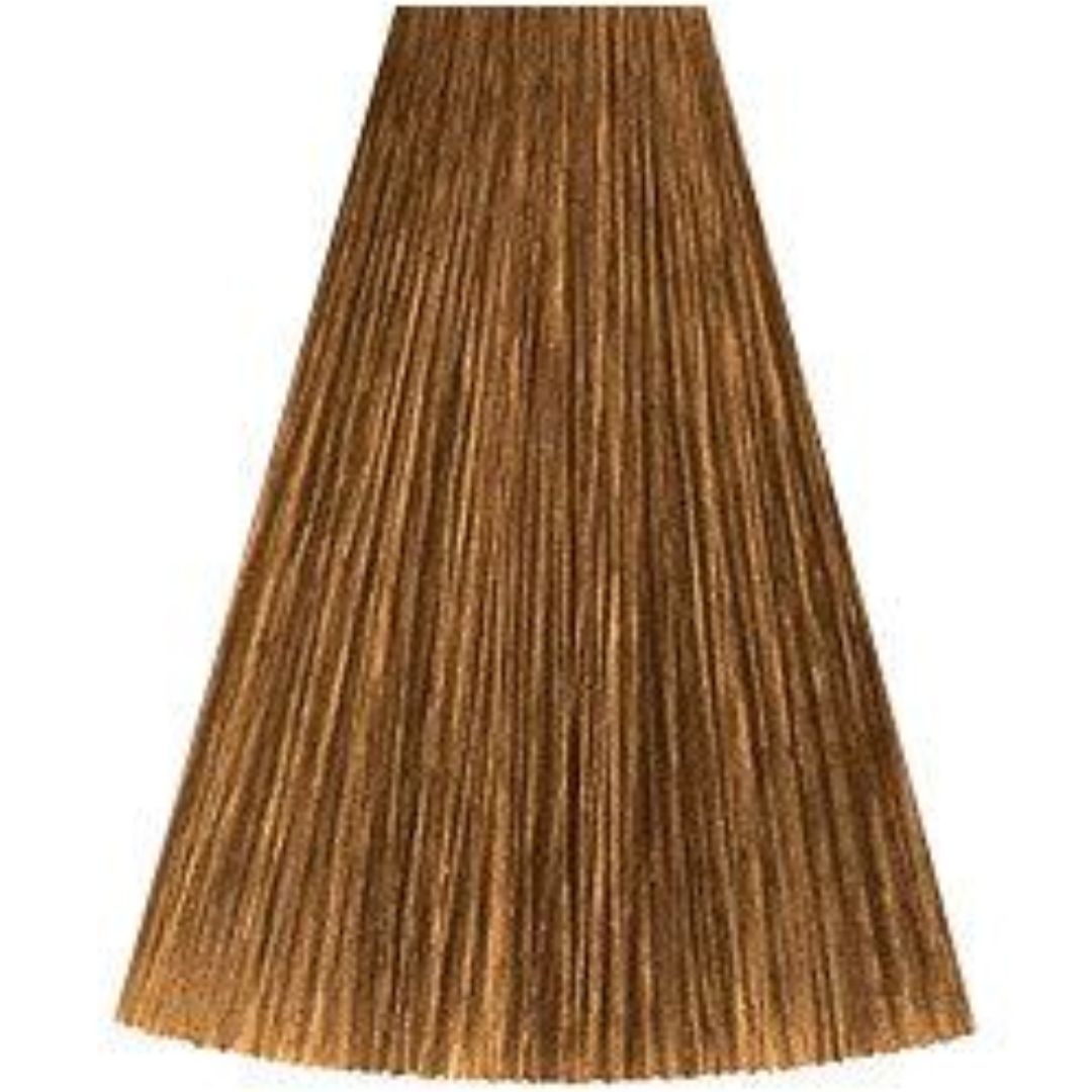 8/73 LIGHT BLONDE BRUNETTE GOLD קאדוס KADUS צבע לשיער 60 גרם
