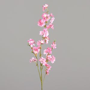  פריחת הדובדבן ורוד 100 ס"מ CHERRYFLOWERSS