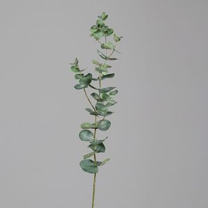   ענף אקליפטוס ירוק 74 ס"מ EUCALYPTUS