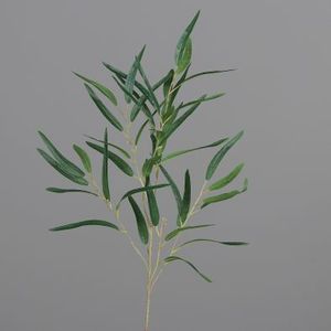  ענף אקליפטוס ירוק 96 ס"מ EUCALYPTUS