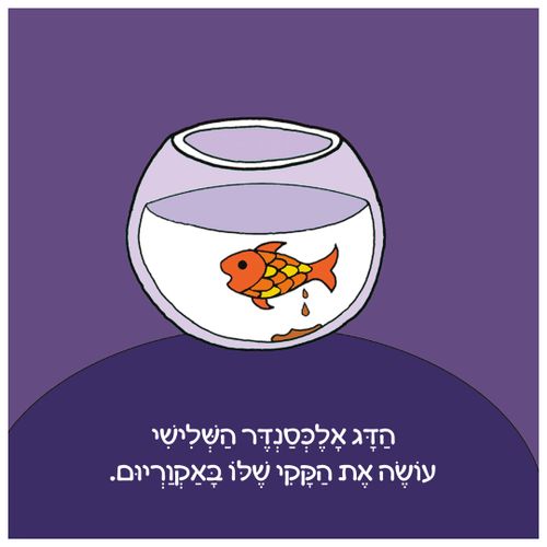 ספר ילדים - היה היה על האסלה (ילדה) / אלונה פרנקל