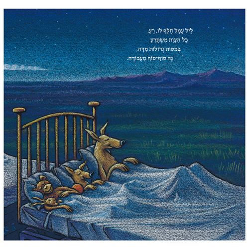 ספר ילדים - רכבת החלומות / שרי דסקי רינקר