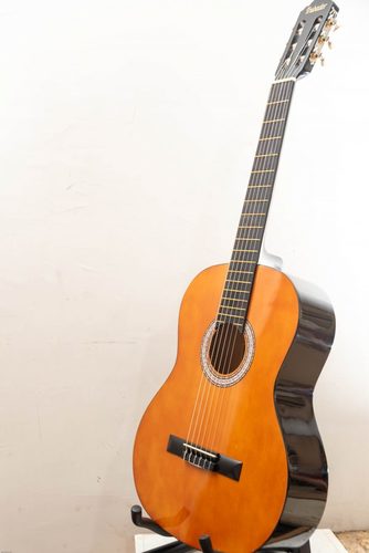 LC3900