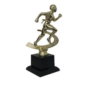 גביע נצחון כדורגל - זהב  19.5 ס"מ