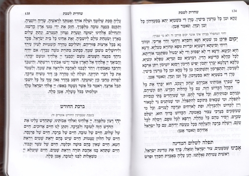 חומש תורת השם- דמוי עור כיס
