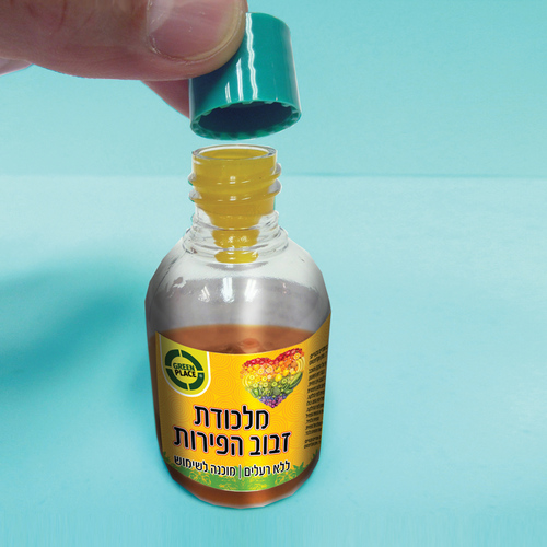 מלכודת לזבוב הפירות