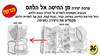 36 יצירה מהחיטה אל הלחם/אפונה