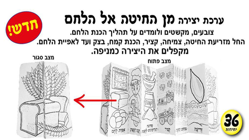 36 יצירה מהחיטה אל הלחם/אפונה
