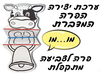 36 יצירה הפרה המדברת/אפונה