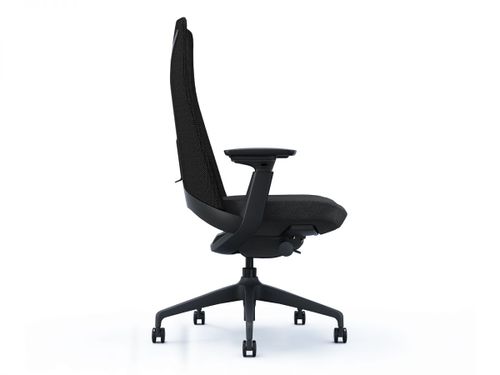 כיסא מנהלות ומנהלים ד״ר גב SENIOR