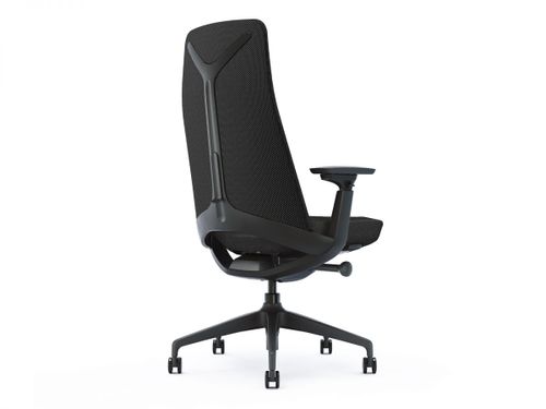 כיסא מנהלות ומנהלים ד״ר גב SENIOR