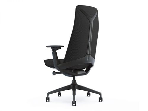 כיסא מנהלות ומנהלים ד״ר גב SENIOR