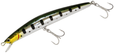 דמוי  Aims Arrow Head 17g - 120mm