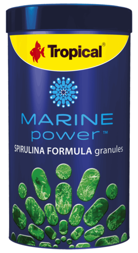 טרופיקל מזון גרגרים ספירולינה 250 מ”ל Tropical Spirulina Formula Gran